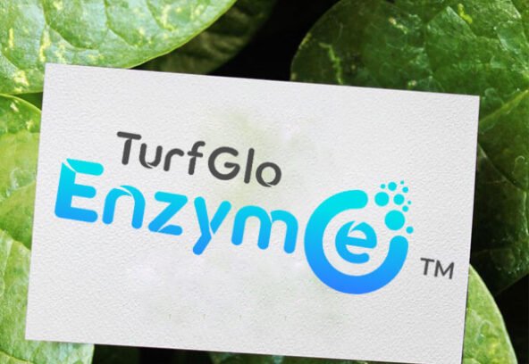 turf-glo-enzym