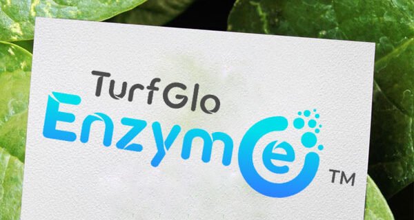 turf-glo-enzym