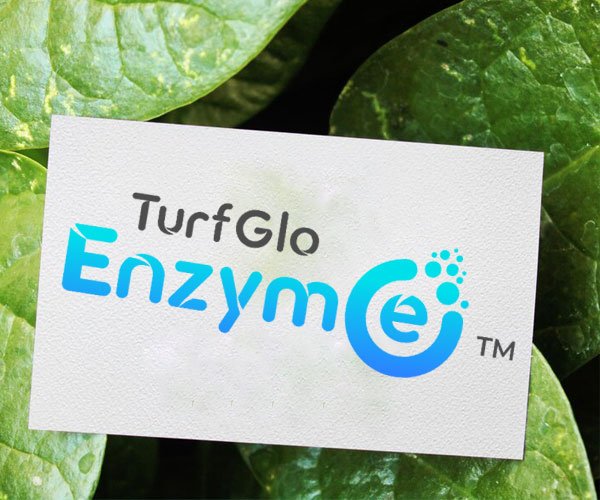 turf-glo-enzym