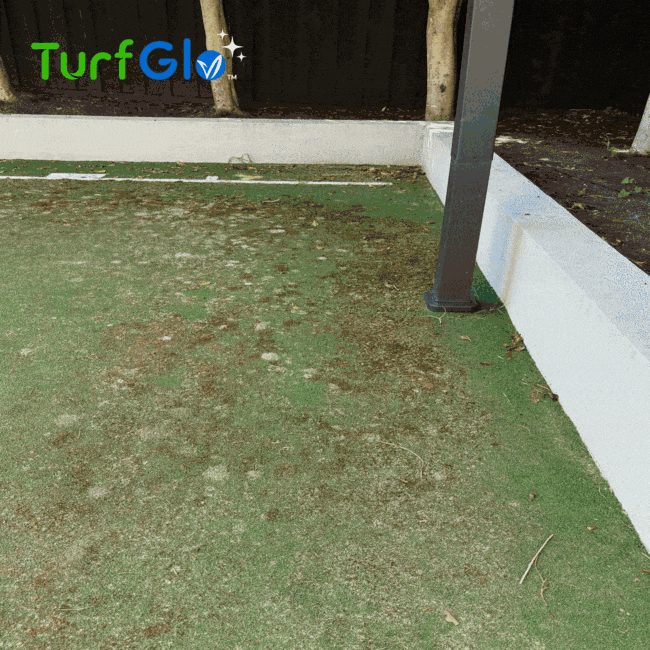 turfglo-artificial-grass-cleaning-services-comp-1-1-1-1-2